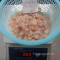 Frozen Pud Red Shrimp IQF Taille 100-200